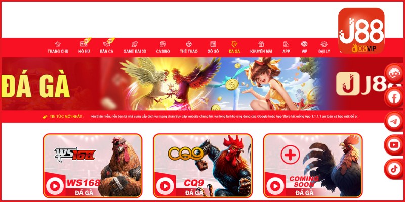 Đôi nét về sảnh đá gà J88